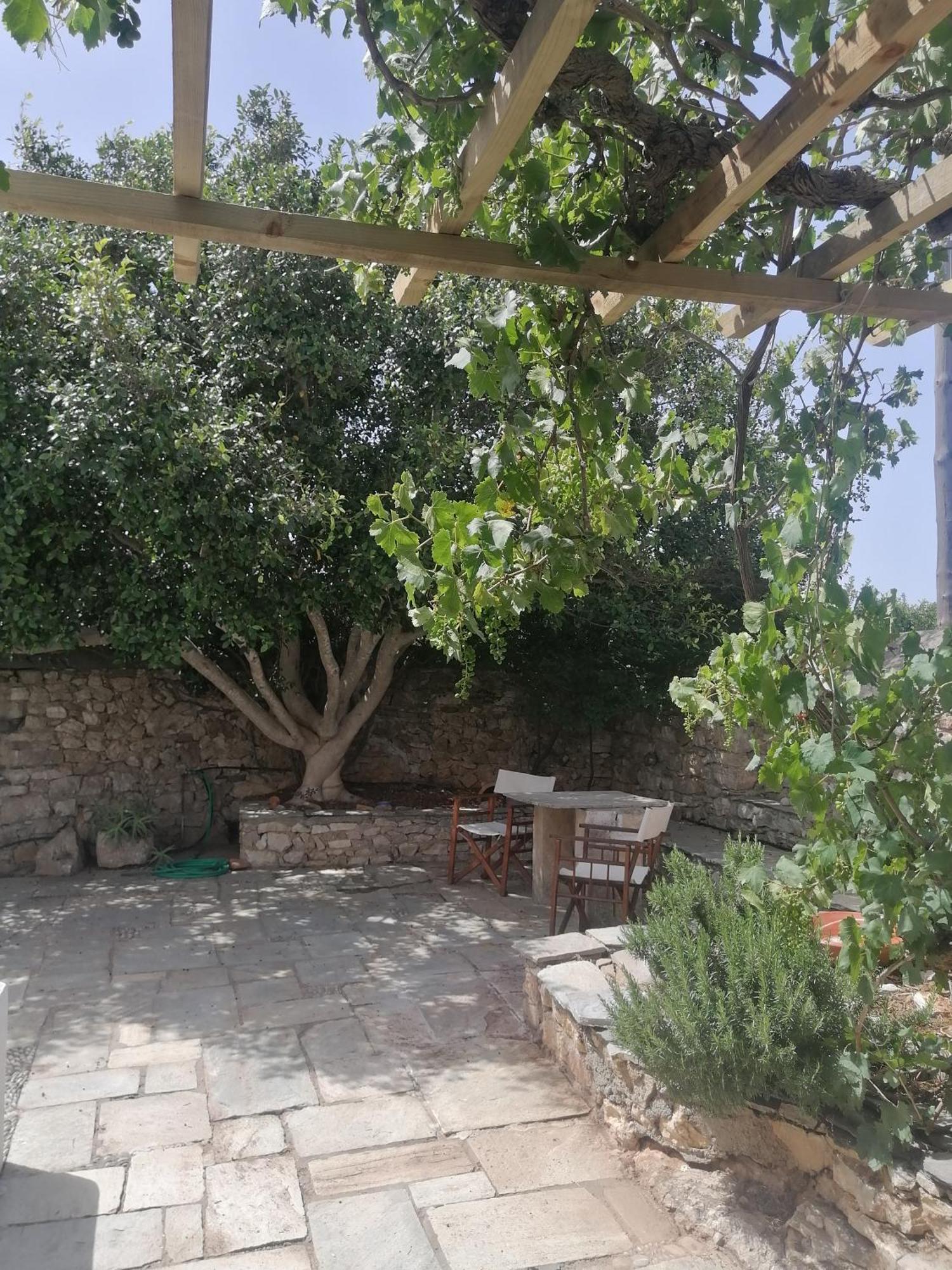 Evgenia's Traditional House Villa